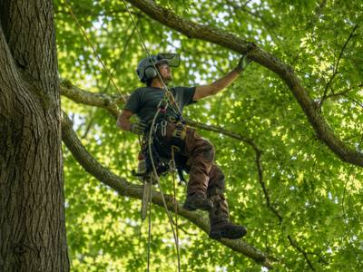 Crew member cutting a branch section overhead